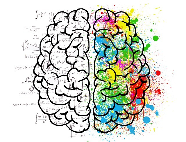 Na obrázku jsou nakresleny levá a pravá hemisféra mozku. Levá je bílá a pokrytá matematickými obrazci, pravá je plná barev.